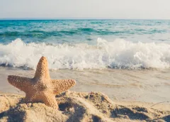 Feriados Bursátiles 2026 Chile y EEUU.